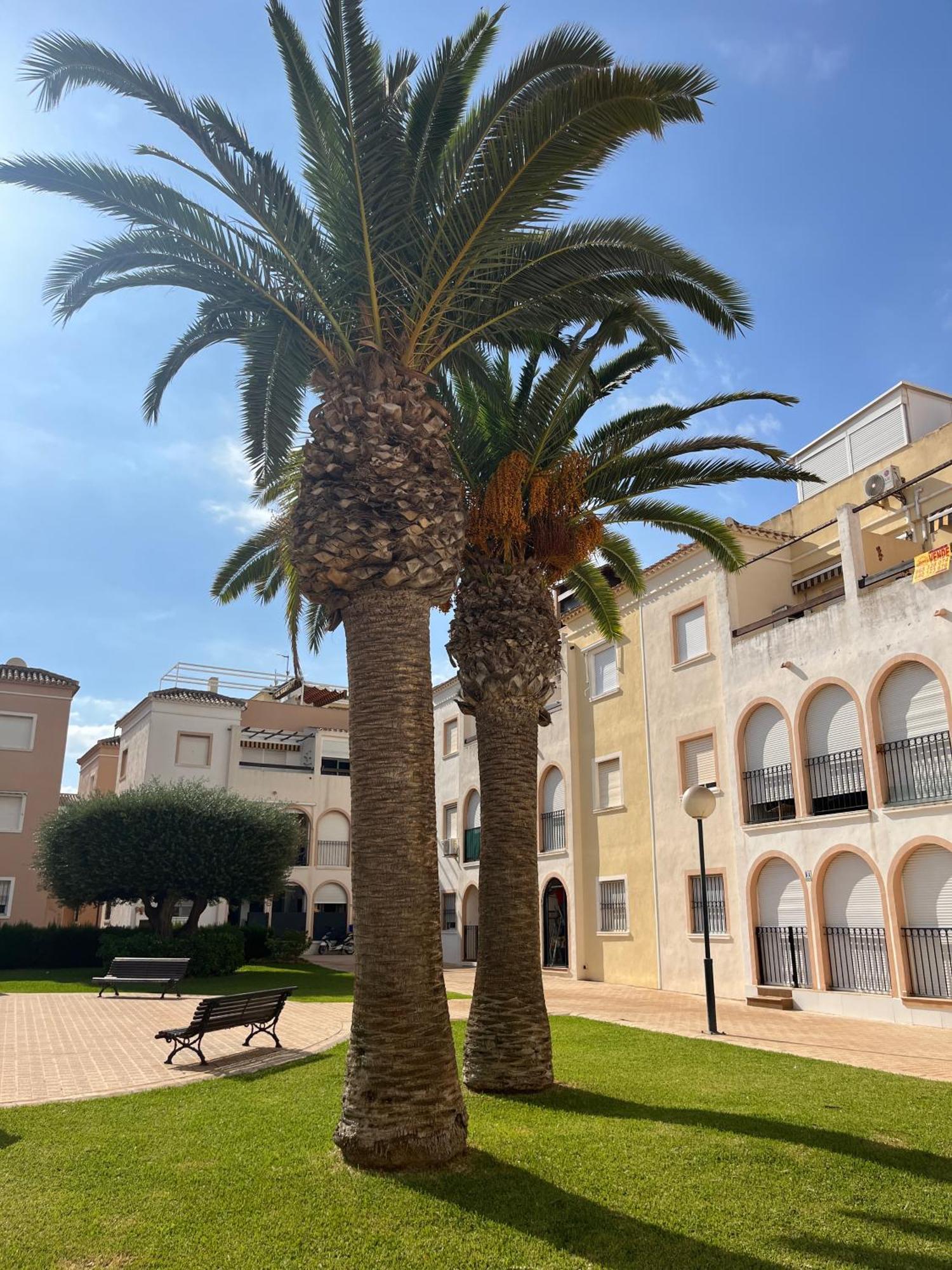 Torrevieja 2 Bedrooms Appartment Luaran gambar