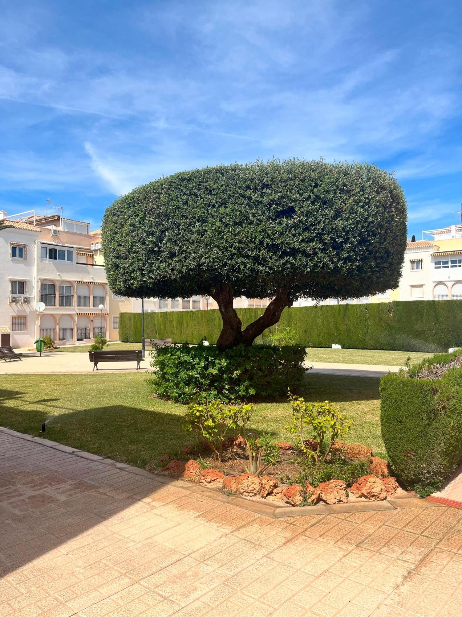 Torrevieja 2 Bedrooms Appartment Luaran gambar